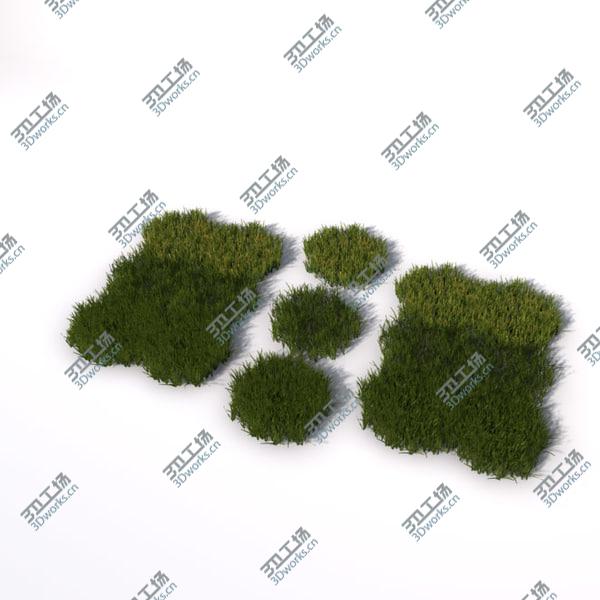 images/goods_img/20210312/Grass vol2/3.jpg